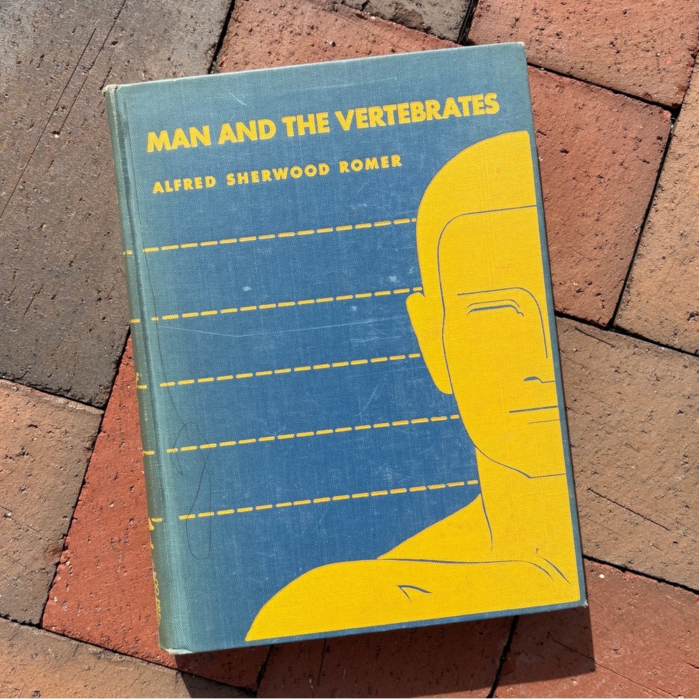 1953 Man and the Vertebrates Monkeys Apes Primates Textbook Atomic Age Animals